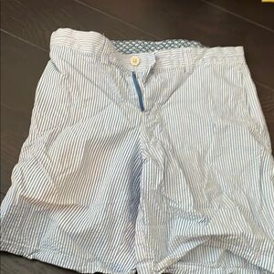 Blue and White Striped Shorts